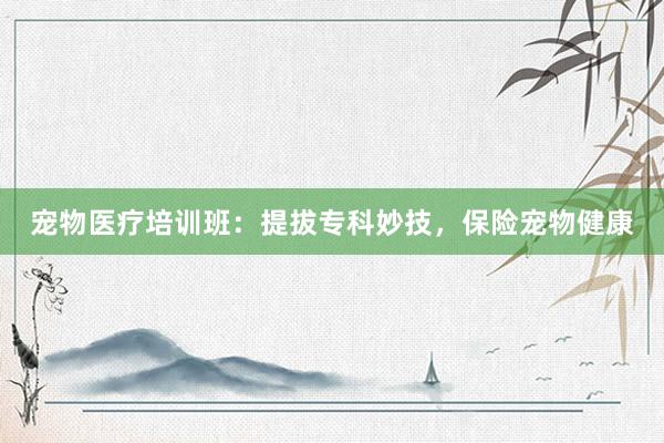 宠物医疗培训班：提拔专科妙技，保险宠物健康